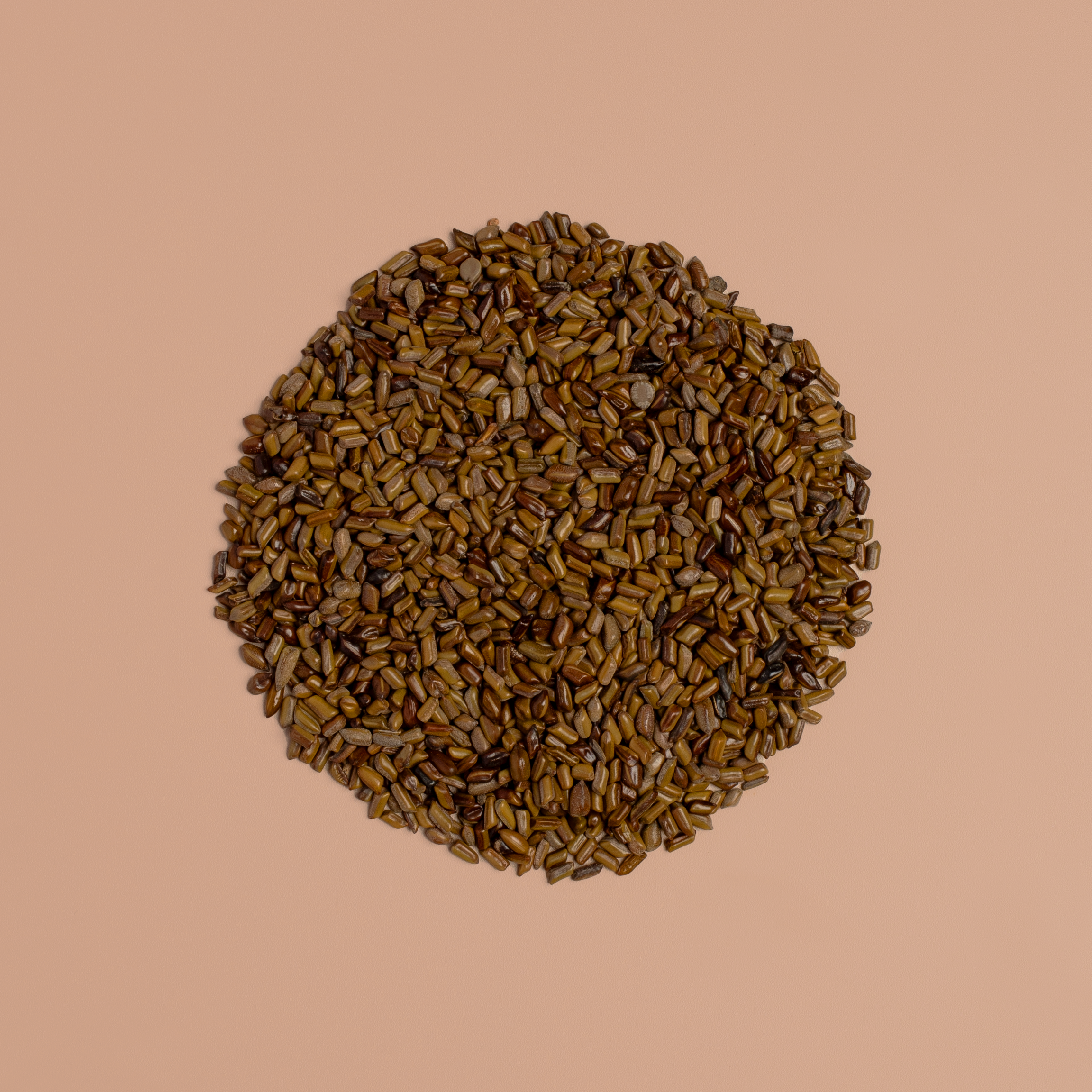 Cassia Seed